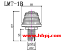 LMT-1B结构图(点击放大)